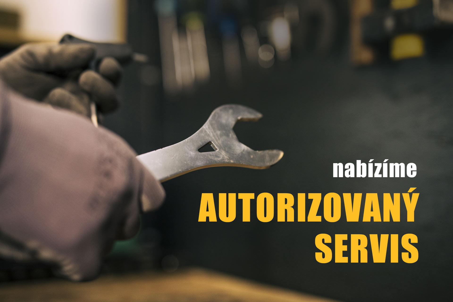 Autorizovaný servis